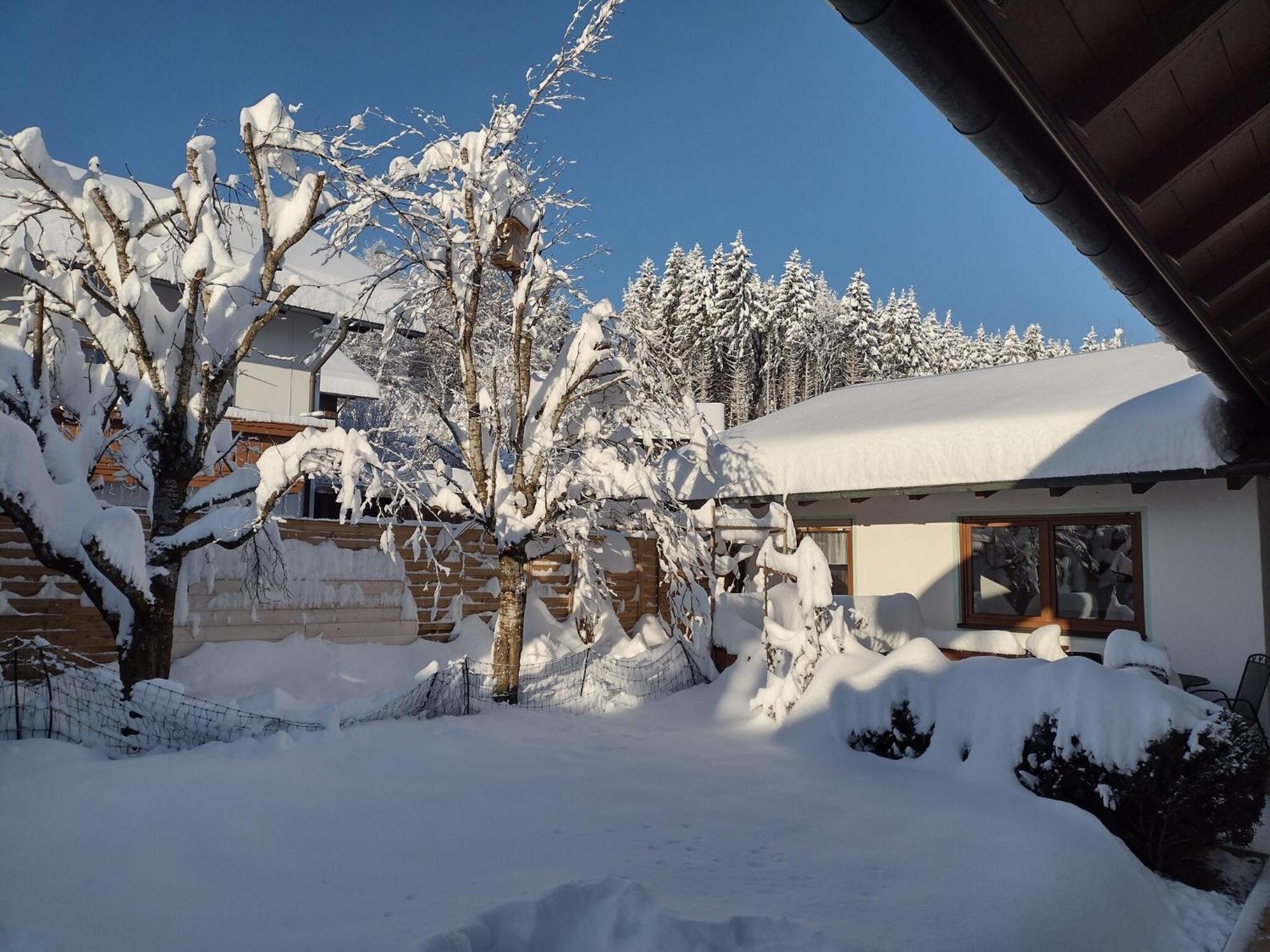 Cosy Holiday Home With Sauna In The Allg U Burggen Εξωτερικό φωτογραφία